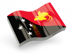 Glossy wave icon. Illustration of flag of Papua New Guinea