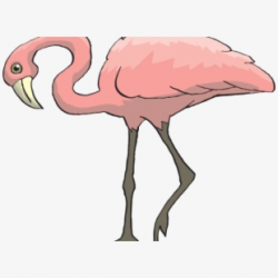 Flamingo Clipart Clear Background - Legs Of Animals Clipart ...