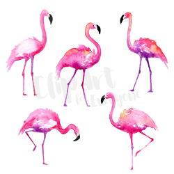 Flamingo Clipart abstract 16 - 2000 X 2000 Free Clip Art ...