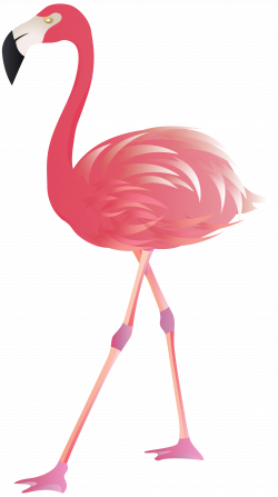 Flamingo PNG Clip Art Image | Gallery Yopriceville - High-Quality ...