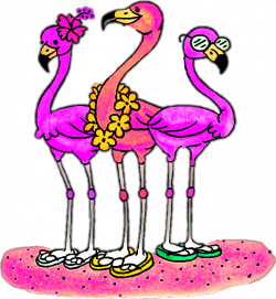 beach scflamingos flamingos flipflops sunglasses flower...