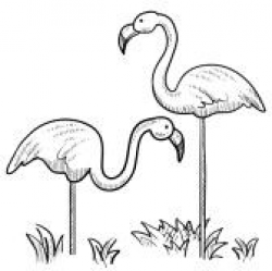 flamingo clip art black and white - Google Search | flamingo ...