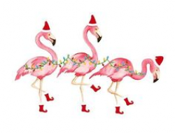 Christmas clip art flamingo - 15 clip arts for free download ...