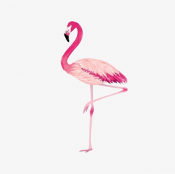 Proud Flamingo Transparent Background Basemap PNG, Clipart ...