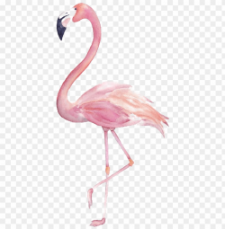 flamingo png image transparent - flamingo clipart watercolor ...