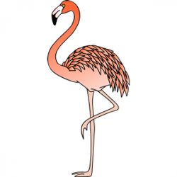 Flamingo 3 (colour) clipart, cliparts of Flamingo 3 (colour ...