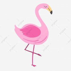 Hand Drawn Cute Tropical Flamingo, Cartoon, Bird, Flamingo ...
