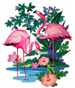 Two Flamingos In Shallow Water - Royalty Free Clipart Picture