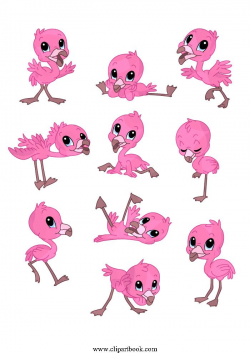 LE - pink Baby Flamingofree vector clipart designs for ...