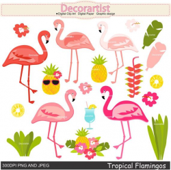 Tropical flamingo clipart, Flamingo clipart, Pink flamingo ...