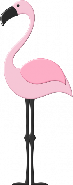 CH.B *✿* | Quilt--Flamingos | Pinterest | Flamingo, Bird and Clip art