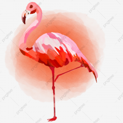 Flamingo Animal Lovely Pattern, Color, Birds, Elegant PNG ...