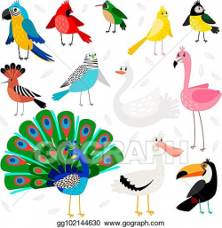 Vector Art - Tropical and exotic birds set. EPS clipart ...