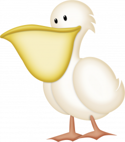 Pelican | Clipart | Pinterest | Clip art and Cards