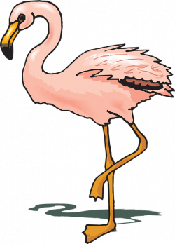 Flamingo Clipart at GetDrawings.com | Free for personal use Flamingo ...