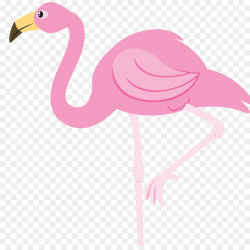Pink Flamingo clipart - Flamingo, Bird, Feather, transparent ...