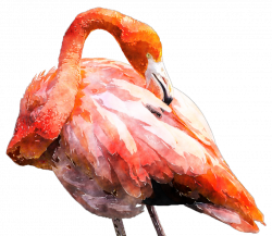 Watercolour Flamingo by Lavandalu on DeviantArt