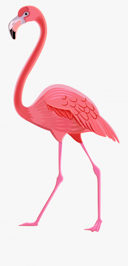 Flamingo Clipart Png - Clip Art Flamingo Png #493182 - Free ...