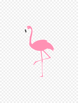 Pink Flamingo clipart - Flamingo, Bird, Feather, transparent ...