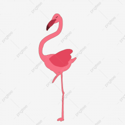 Flamingo Animal Net Red Proud One Foot Standing Free ...