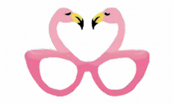 flamingostickers #flamingo #glasses #summertime #summerfun ...