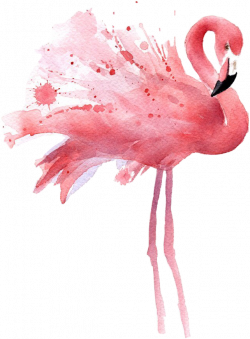 flamingo watercolor freetoedit - Sticker by Qwerty