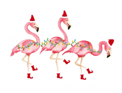 flamingo christmas | Shorely Chic: FLAMINGO FRIDAY ...