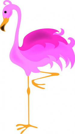 Flamingo clip art free free clipart images 4 - Clipartix