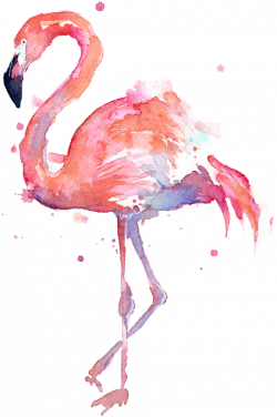 Flamingos Sticker Challenge on PicsArt