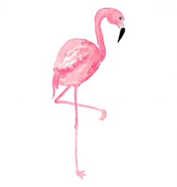 Watercolor Flamingo Clipart, Tropical, Bird, Illustration ...