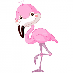 Pink flamingo cartoon clipart clipart kid 2 - Clip Art Library