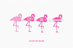 Flamingo monogram frame-Flamingo svg, pink Flamingo Monogram svg, Bird svg,  summer,frame clipart Cricut download svg jpg png dxf Silhouette