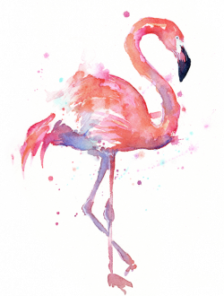 Flamingo PNG Transparent Images (64+)