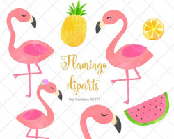 Flamingo Watercolor Cliparts, Flamingo Clip Art, Flamingo ...