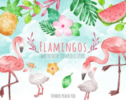 Watercolor Flamingo Clipart, Cute, Tropical, Hibiscus, Family, Baby, Summer  Clipart, Hi Res Printable Graphics, PNG Files, Instant Download