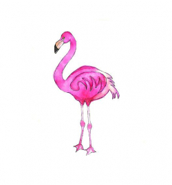Download Watercolor Pink Flamingo Illustration Nursery By ...