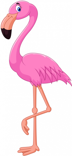 pink flamingo png - Free PNG Images | TOPpng