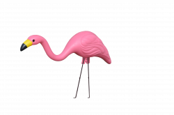 Pink Flamingo - Cliparts.co
