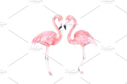 Flamingo Clipart pink object 9 - 580 X 386 Free Clip Art ...