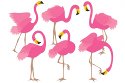Pink Flamingo Set