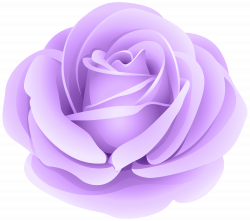 Rose Purple Transparent Clip Art Image | Gallery Yopriceville ...