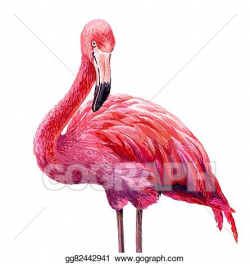 Stock Illustrations - Colorful pink flamingo. Stock Clipart ...
