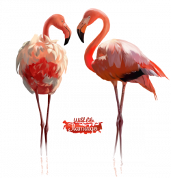 Pink Flamingo watercolor illustration by Kajenna.deviantart.com on ...