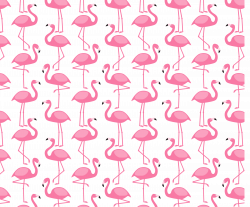 Pin by Tew Witty on Flamingo | Pinterest | Flamingo