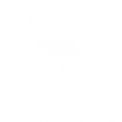 Strijkapplicatie Flamingo te verkrijgen in velours en folie ...