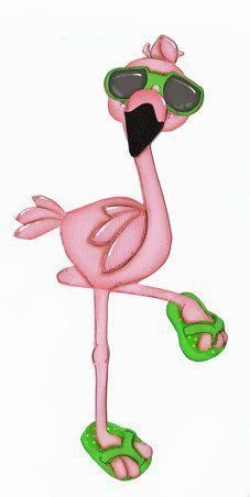 Flamingo in flip flops - Adorable! | Flamingos | Flamingo ...