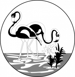 Black And White Flamingos Clip Art at Clker.com - vector clip art ...