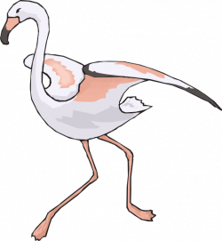 Running Flamingo Clip Art at Clker.com - vector clip art online ...