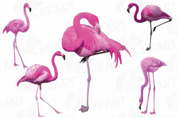 Watercolor Flamingos Clipart. Tropical clipart, 5 flamingo