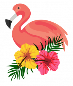 Flamingo by hanjorafael on DeviantArt